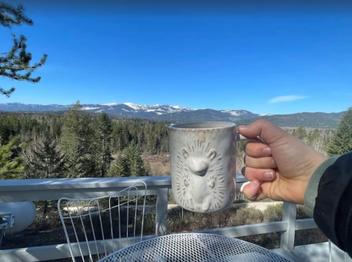 A hand holding a decorative mug in front of a scenic mountain view with trees and a clear blue sky.