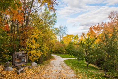 A winding path through a vibrant autumn landscape with colorful trees and a rustic wooden structure.