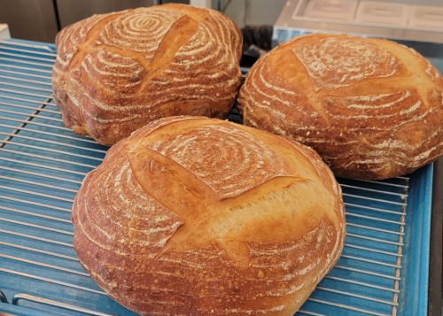 Three round loaves of freshly baked bread with decorative scoring on top, resting on a cooling rack.