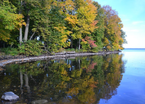 A serene lakeside scene with colorful autumn trees reflecting in calm water under a clear blue sky.