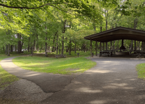 A serene park scene with a path splitting, leading to a covered picnic area surrounded by lush green trees.
