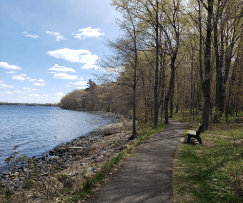 A serene lakeside path lined with trees, featuring a bench overlooking the water under a partly cloudy sky.