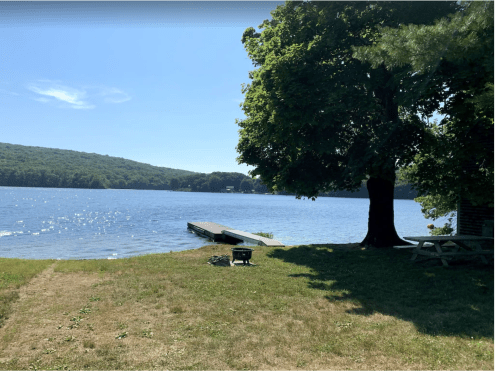 A serene lake view with a wooden dock, surrounded by green trees and a clear blue sky.