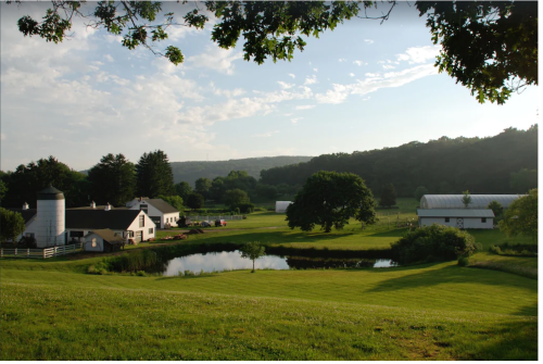 A serene farm landscape with a pond, barn, and lush green fields under a clear sky.