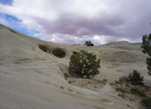 A rocky hillside with a small tree and cloudy sky, showcasing unique geological formations.