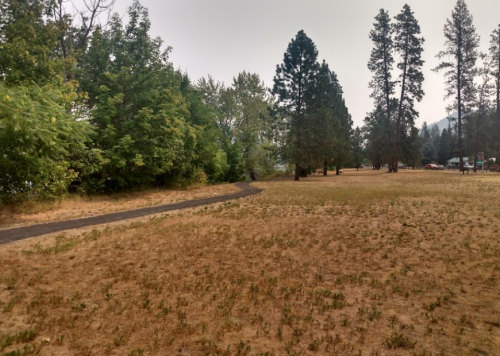 A winding path through a dry, grassy area surrounded by trees under a hazy sky.