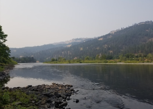 A serene river flows through a mountainous landscape, surrounded by trees and rocky banks under a hazy sky.