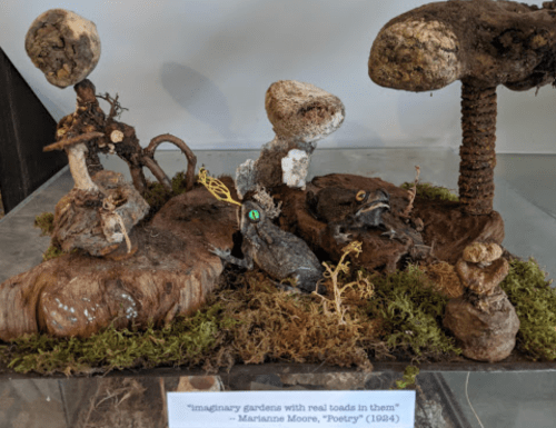 A whimsical diorama featuring moss, mushrooms, and toads, inspired by Marianne Moore's poem "Poetry."