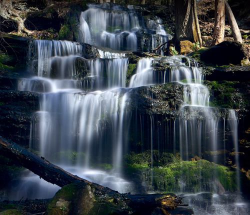 A serene waterfall cascades over rocky steps, surrounded by lush greenery and trees in a tranquil forest setting.