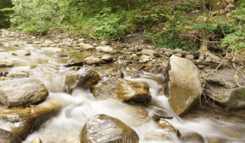 A serene stream flows over smooth rocks, surrounded by lush greenery and trees.