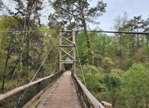 A wooden suspension bridge surrounded by lush green trees and foliage, leading into a natural landscape.