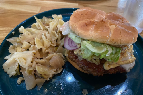 A plate with a burger topped with lettuce and onion, alongside a serving of pasta.