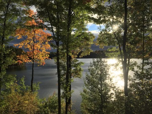 A serene lake surrounded by trees with autumn leaves, reflecting sunlight on the water's surface.