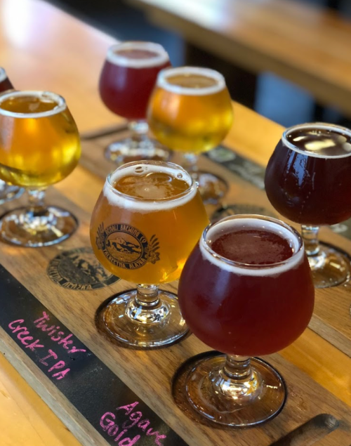 A wooden flight board displaying various craft beers in small glasses, featuring different colors and styles.
