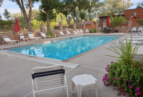 A clear swimming pool surrounded by lounge chairs and vibrant flowers, with trees and a wooden structure in the background.