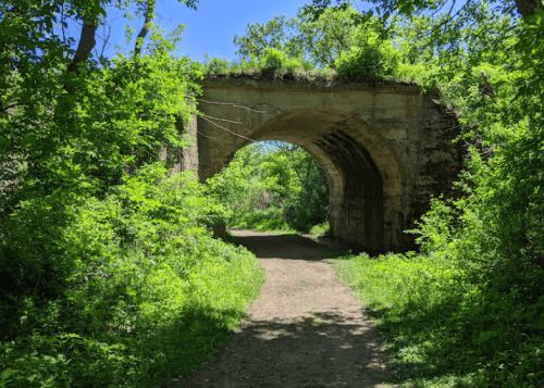 A stone archway covered in greenery, leading to a dirt path surrounded by lush trees and plants.