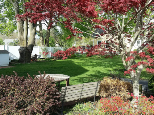 A serene backyard with green grass, red maple trees, and a wooden bench surrounded by colorful shrubs.