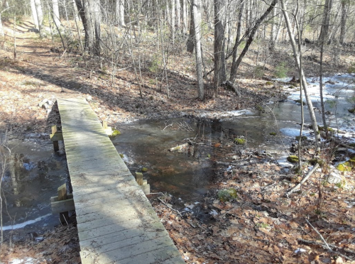 A wooden bridge over a small stream in a wooded area, surrounded by trees and fallen leaves.