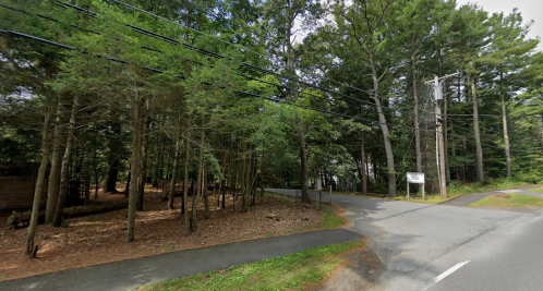 A wooded area with tall trees alongside a road, featuring power lines and a sign at the intersection.