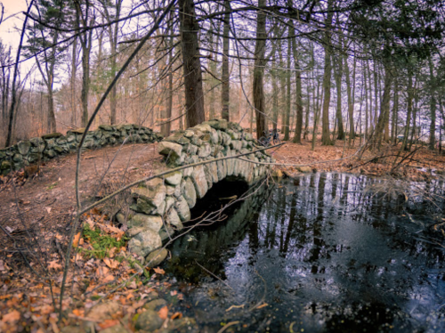 A stone bridge arches over a still pond, surrounded by trees and fallen leaves in a tranquil forest setting.