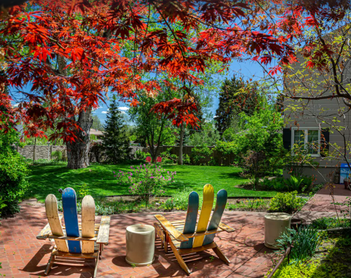 A serene backyard with colorful chairs, lush greenery, and vibrant red leaves overhead on a sunny day.