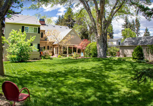 A spacious backyard with a well-maintained lawn, trees, and a charming house in the background under a blue sky.