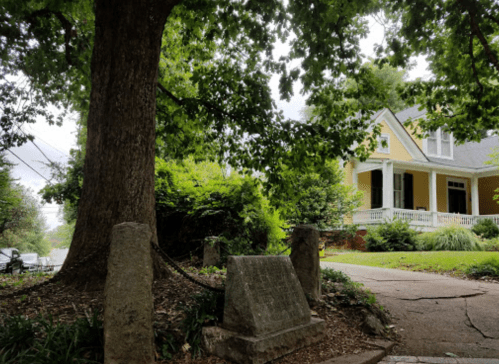 A large tree stands beside a path, with a historic marker and a yellow house visible in the background.