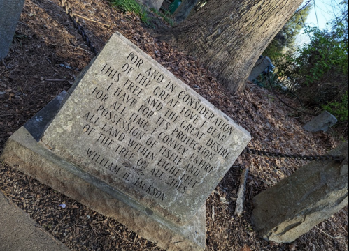 A weathered stone monument with engraved text about a tree and land possession, surrounded by mulch and trees.