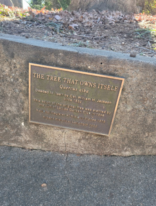 Plaque on a stone base, reading "The Tree That Owns Itself," detailing its history and dedication.