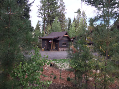 A cozy cabin surrounded by tall trees and greenery, set in a peaceful outdoor environment.