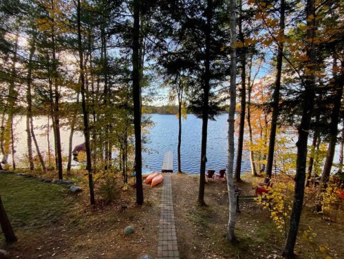 A serene lakeside view with a wooden dock, surrounded by trees and autumn foliage, leading to calm waters.