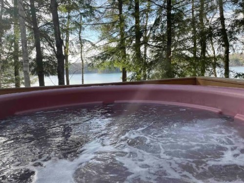 A hot tub with bubbling water, surrounded by trees and overlooking a serene lake.