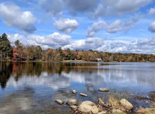 A serene lake surrounded by autumn trees, with fluffy clouds reflecting on the water's surface.