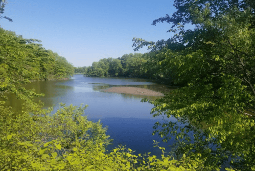 A serene river bends through lush green trees under a clear blue sky.