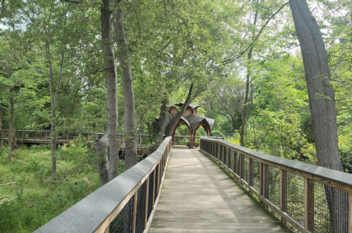 A wooden walkway leads through lush greenery to a unique, rustic structure surrounded by trees.