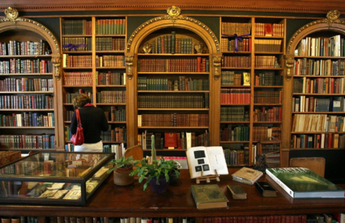 A cozy library with ornate bookshelves filled with books, a woman browsing, and a table with plants and books.