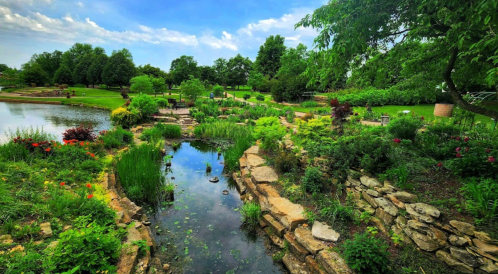 Lush garden with a pond, surrounded by vibrant flowers and greenery under a blue sky with scattered clouds.