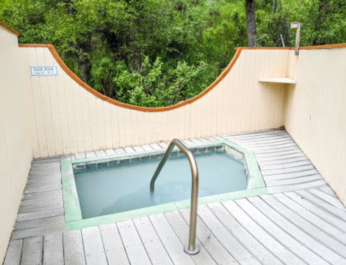 A small, empty hot tub surrounded by greenery and wooden decking, with a handrail for access.