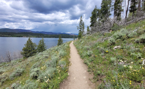 A winding dirt path along a lake, surrounded by greenery and trees, under a cloudy sky.