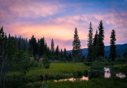 A serene landscape featuring tall trees, a grassy area, and a calm water body under a colorful sunset sky.
