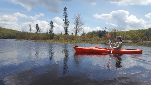 A person in a green shirt paddles an orange kayak on a calm lake surrounded by trees and blue skies.