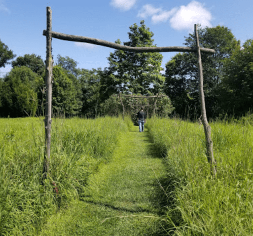 A person walks down a grassy path framed by wooden arches, surrounded by tall grass and trees under a blue sky.