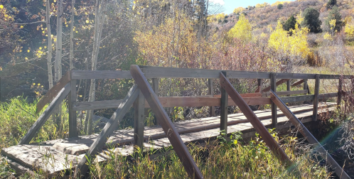 A wooden bridge spans a small area of grass and foliage, surrounded by autumn-colored trees and sunlight.
