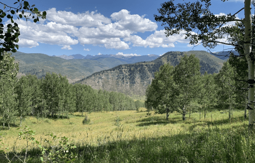 A scenic landscape featuring green trees, rolling hills, and mountains under a blue sky with fluffy clouds.