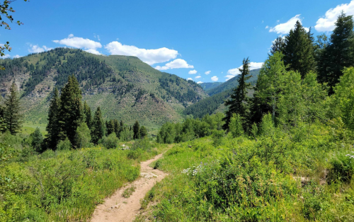 A scenic view of a dirt path winding through lush greenery, with mountains and blue skies in the background.