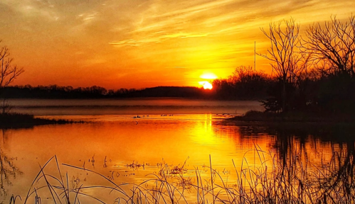 A serene sunset over a calm lake, with vibrant orange and yellow hues reflecting on the water and silhouettes of trees.