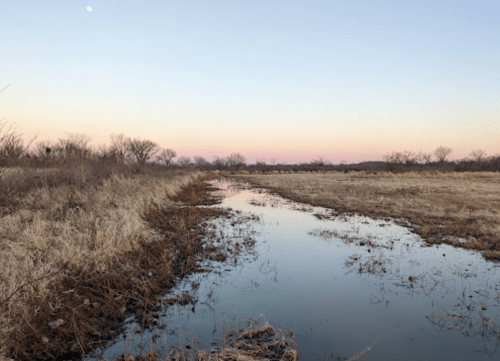 A serene landscape at dusk featuring a winding stream, bare trees, and a soft pastel sky with a visible moon.