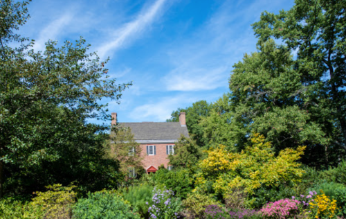 A brick house surrounded by lush greenery and colorful flowers under a bright blue sky with wispy clouds.