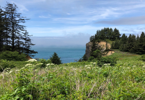 A coastal view featuring lush greenery, trees, and a cliff overlooking a calm blue ocean under a cloudy sky.