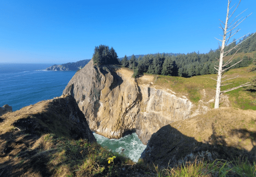 A rocky cliff overlooks a blue ocean, surrounded by lush green trees under a clear blue sky.